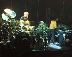 Grateful Dead drummers