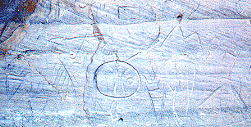 petroglyphs
