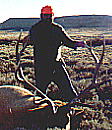 same elk