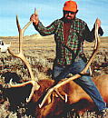 big elk