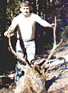 1982 Elk