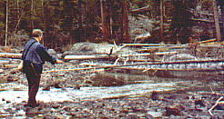 more stream fishing