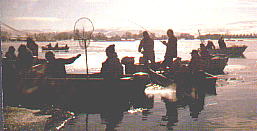 Cisco Fishing