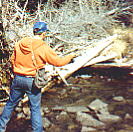 more stream fishing