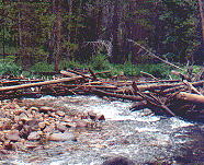 Windriver Mountains