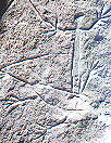 petroglyphs