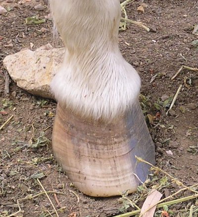 before.jpg (62898 bytes)