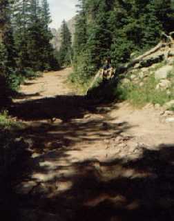 Nice part of jeep trail