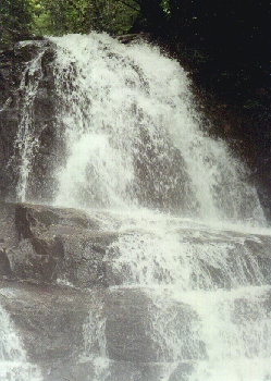 Laurel Falls