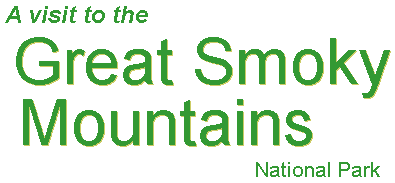 A Visit to the Great Smoky Mountains N.P.