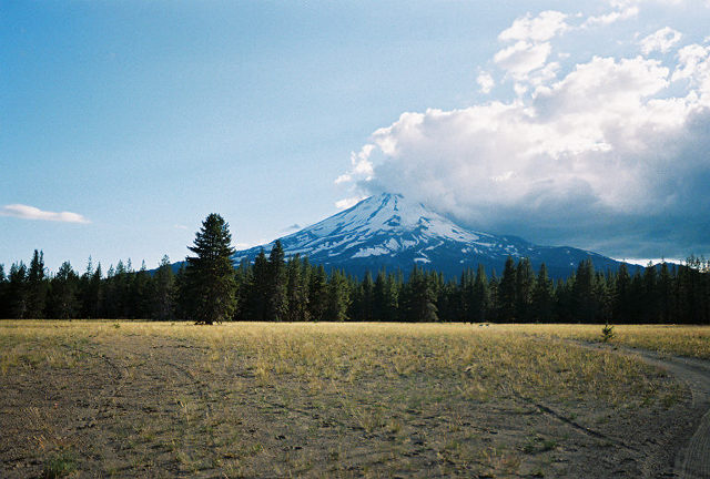 Mt. Shasta