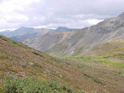 Grizzly Trail/McNasser Gulch