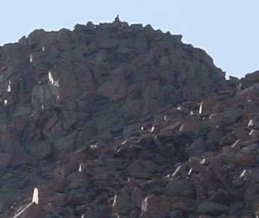 Mary near Windom Peak Summit