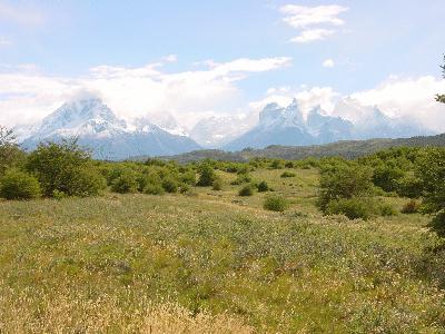 Patagonia