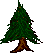 I'd like to think this is a redwood tree
