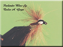 FireBlowFly.gif (32580 bytes)