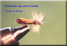 FireSpeckled.gif (20785 bytes)