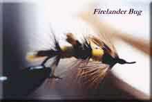 firebug.jpg (11967 bytes)