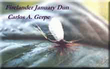 firedun.jpg (13556 bytes)