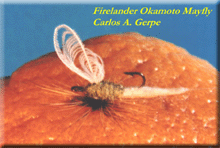 fireokamoto.gif (22882 bytes)