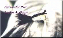 fireparr.jpg (13278 bytes)