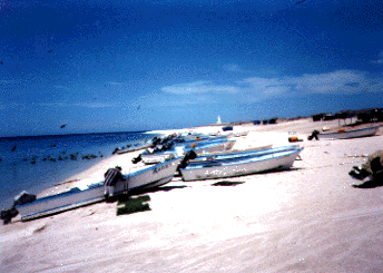 With no docks, the boats are driven right up on the beach which is located about 1 mile north of the hotel!