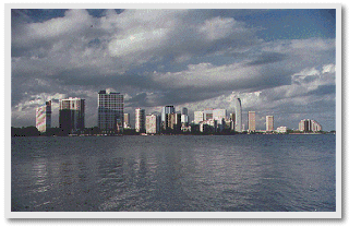 Miami Skyline