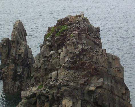 Bonavista