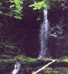 falls