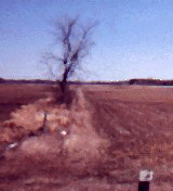 Green Belt?
