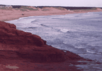 beach