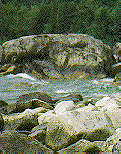 rock