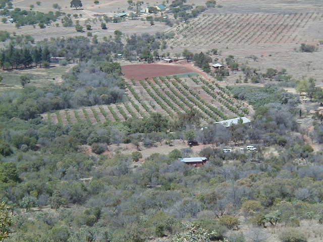 topview1.jpg (51584 bytes)