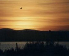 Another Perfect Sunset