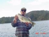 5basst.JPG - 4209 Bytes