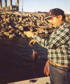 bass005.jpg - 55408 Bytes