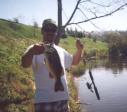 Ultra-Light Bass