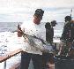 Bluefin Tuna