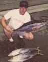 Yellowfin Tuna