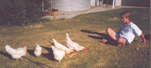 tychooks.jpg (17361 bytes)