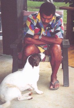 maxdog.jpg (21847 bytes)