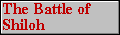 The Battle of Shiloh