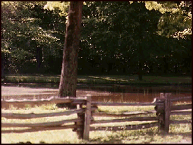Bloody Pond