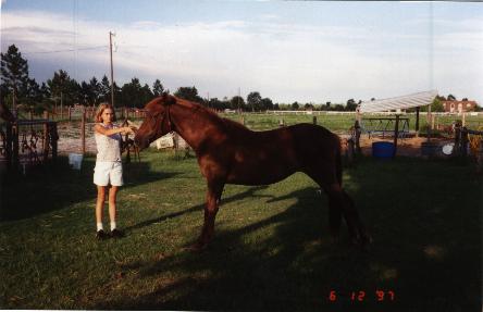 Picture of Spirit
