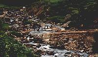 river bagmati