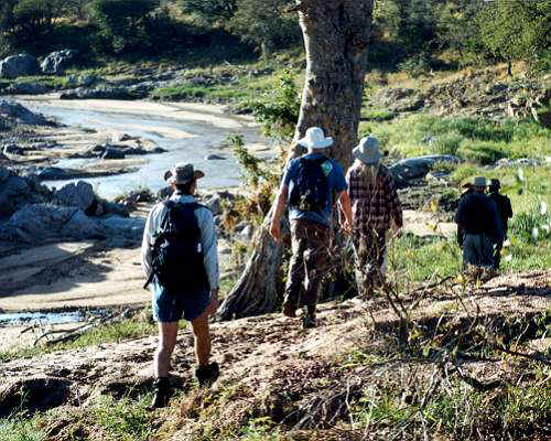 Walk2.jpg (54529 bytes)