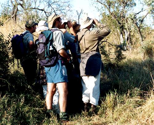 Watch1.jpg (61699 bytes)