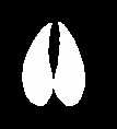 hoof