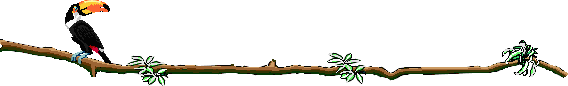 Toucan Bar