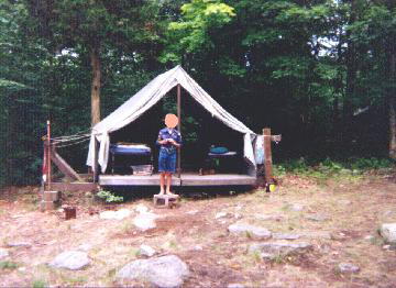 Photo of Cub Standing in Front of a Tent